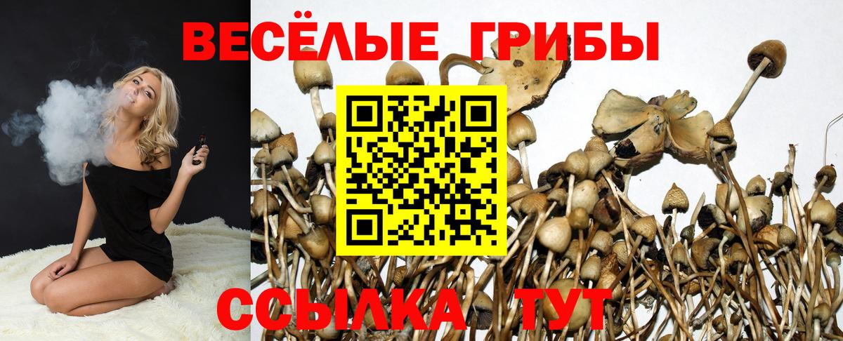 Псилоцибиновые грибы Psilocybe Верхний Уфалей